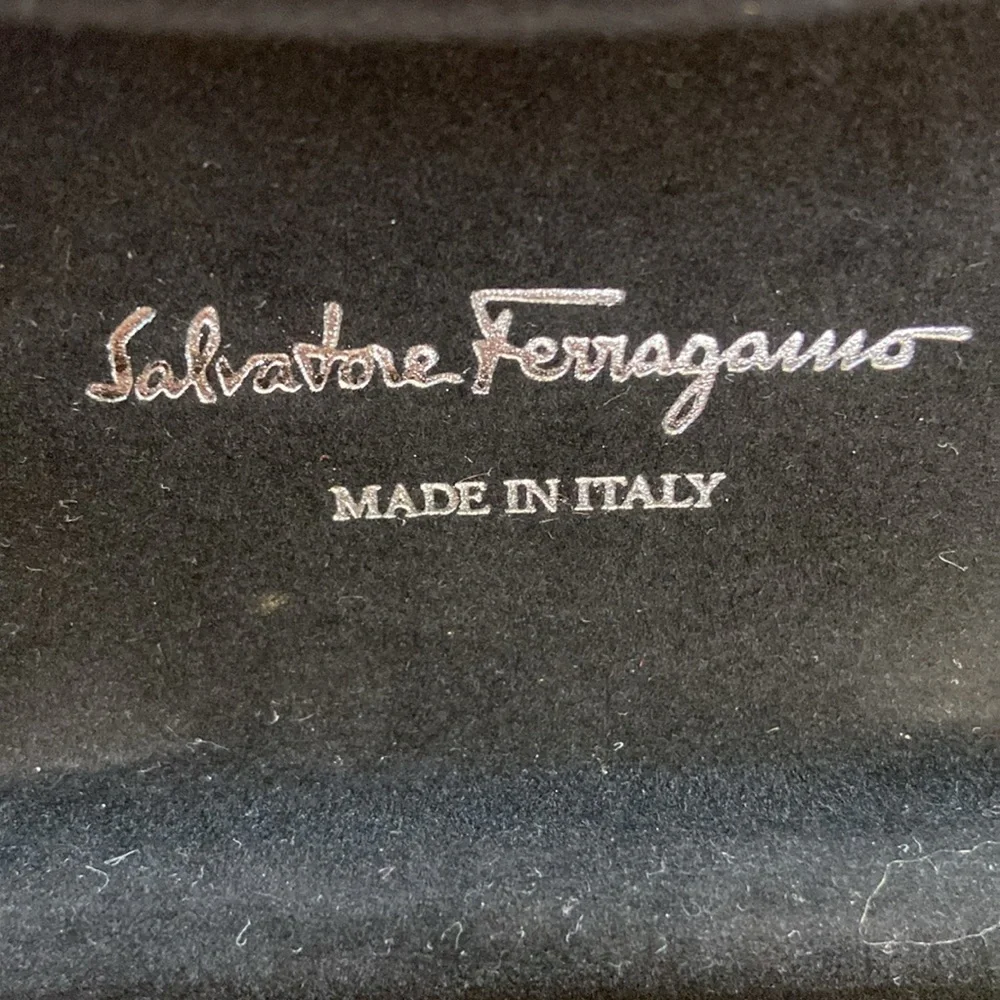 SALVATORE FERRAGAMO GLASS CASE